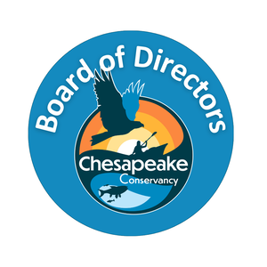 Board of Directors